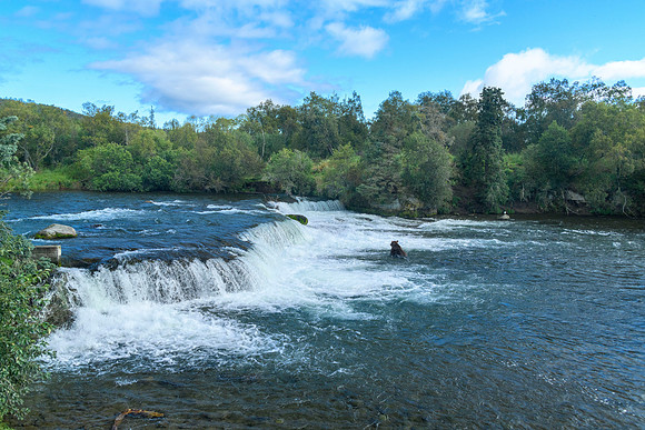 Brooks Falls