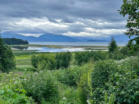 Homer Alaska