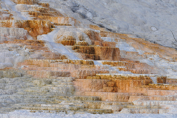 Mammoth Springs at Yellowstone NP