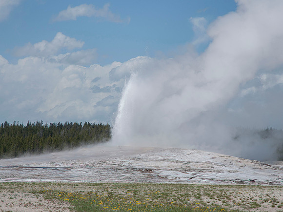 Yellowstone NP Wyoming geyser