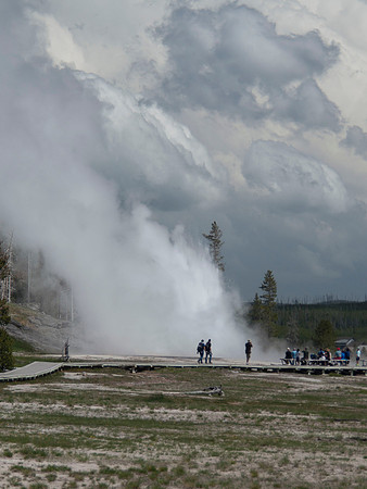 Yellowstone NP Wyoming geyser