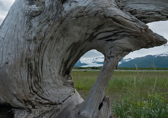 Hallo Bay at Katmai National Park bear viewing