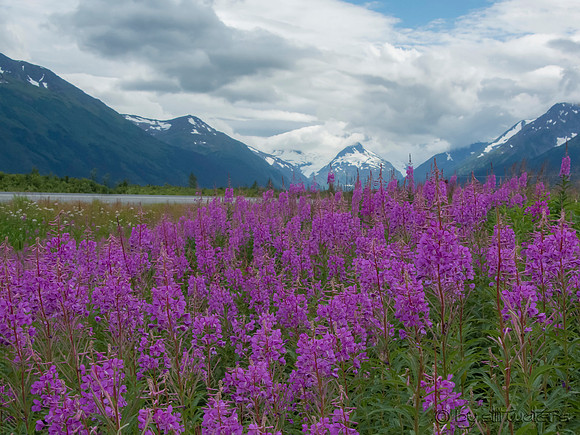Seward highway