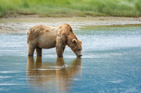 Alaska The Last Frontier