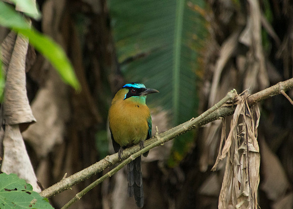 CostaRica