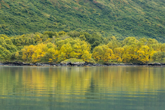 Kodiak Alaska Sally Island