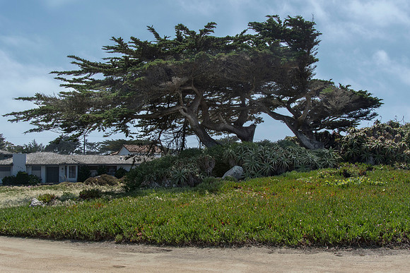 Seventeen Mile Road California