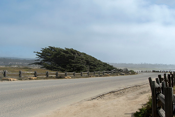 Pacific Grove California
