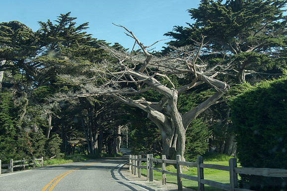 Seventeen Mile Road California