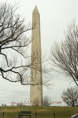 Washington DC