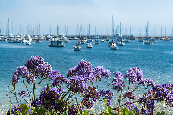 Monterey Bay California