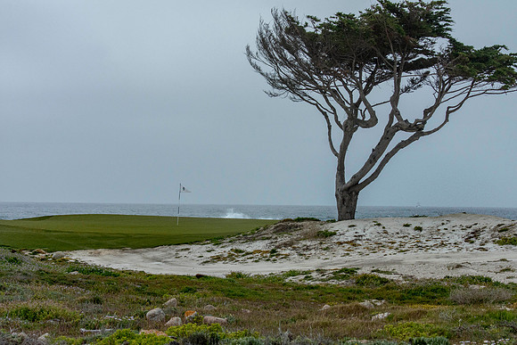 Pacific Grove Golf Course California