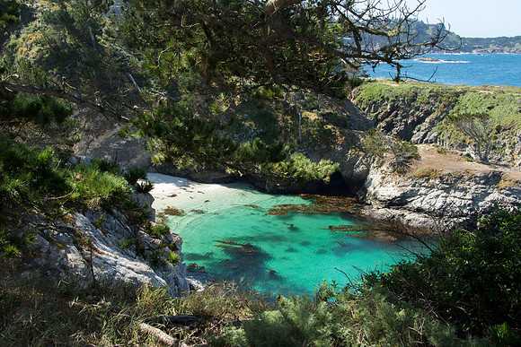 Point Lobos Nature Reserve California