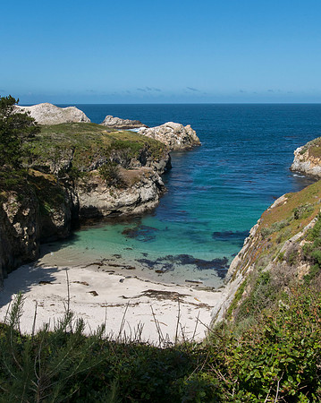 Point Lobos Nature Reserve California