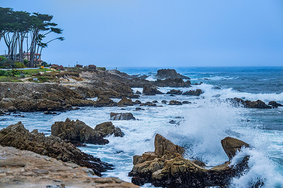 2_Monterey CA Oct2024_7244