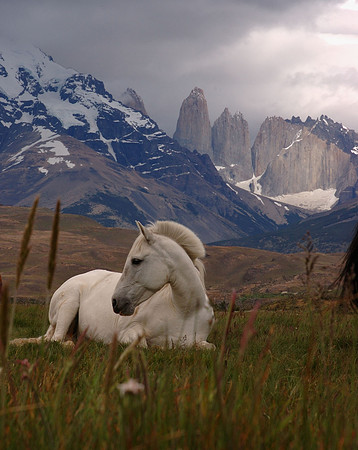 Torres del Paine Nat'l Park Chile