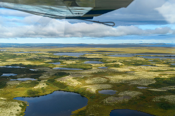 Katmai NP