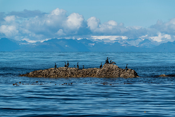 Kodia Alaska