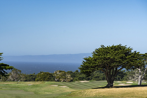 2019 California
