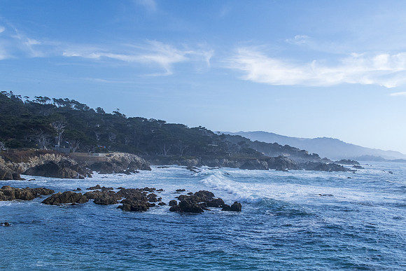 2019 California