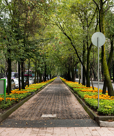 Mexico City
