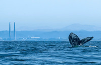 Monterey Bay California