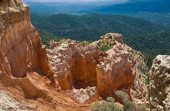 Strawberry Point in Utah