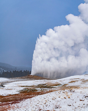 Yellowstone National Park 1623