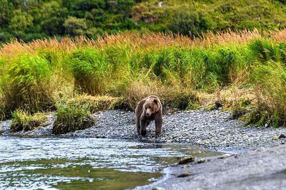Quartz Creek Lodge